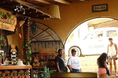 Ica: Tour guiado de Pisco e vinho com degustações