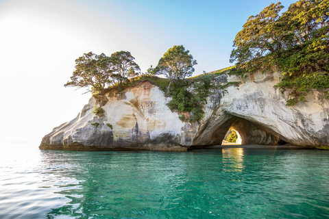 CATHEDRAL COVE & HOT WATER BEACH Day Tour from Auckland