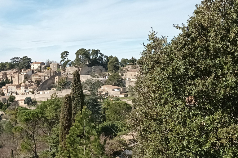 Spring Tour, 4 Days/3 Nights, Discover Provence by Electric Bike