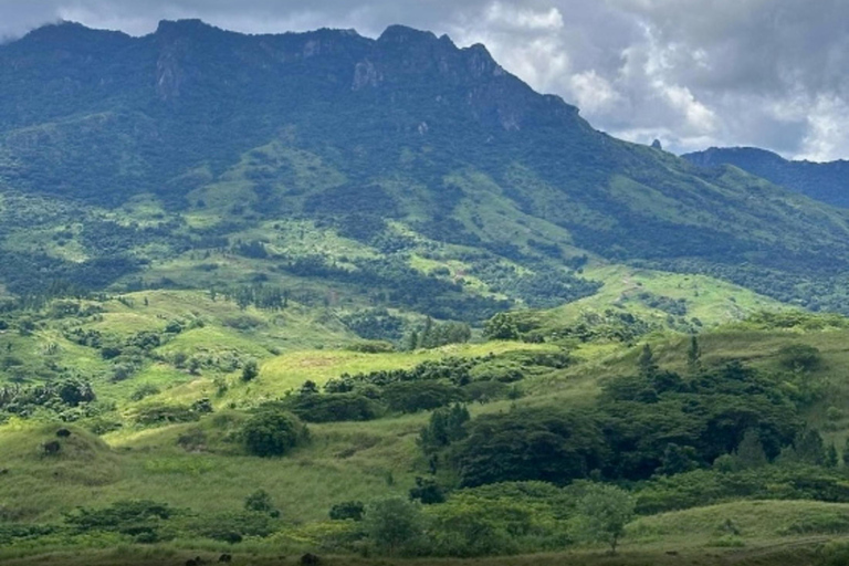 Nadi: Wycieczka do wodospadu z przekąskami i lunchemNadi: Wycieczka do wodospadu z poczęstunkiem i lunchem