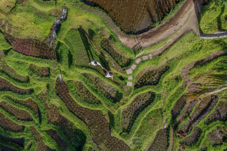 Wanderlust birthday photo and video with drone and Editing Photo and video with drone (Without Flower Pool & Pool)