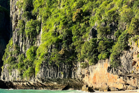 Da Phi Phi: escursione di mezza giornata di snorkeling in barca a coda lunga