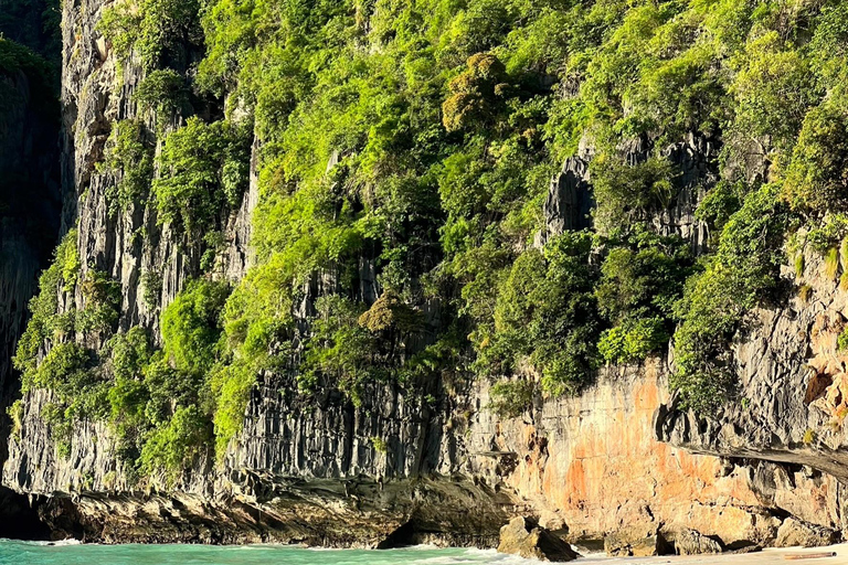 Desde Phi Phi: Excursión de medio día de snorkel en barco de cola larga