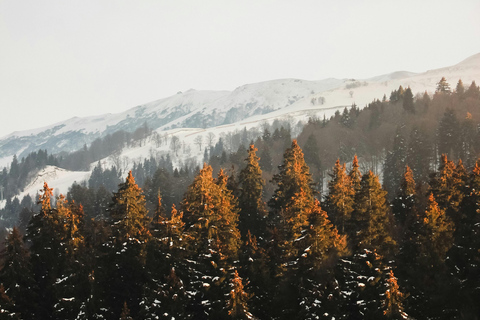 Tbilisi: Bakuriani New Year’s Eve Overnight Tour