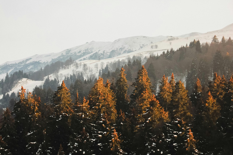 Tbilisi: Bakuriani New Year’s Eve Overnight Tour