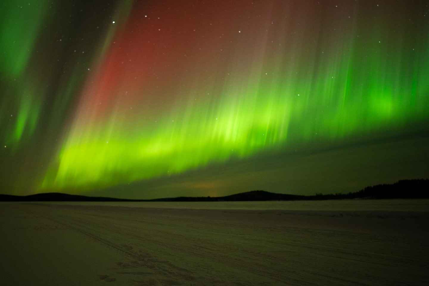 Rovaniemi: Unari ferð með Norðurljósaleit & Grill