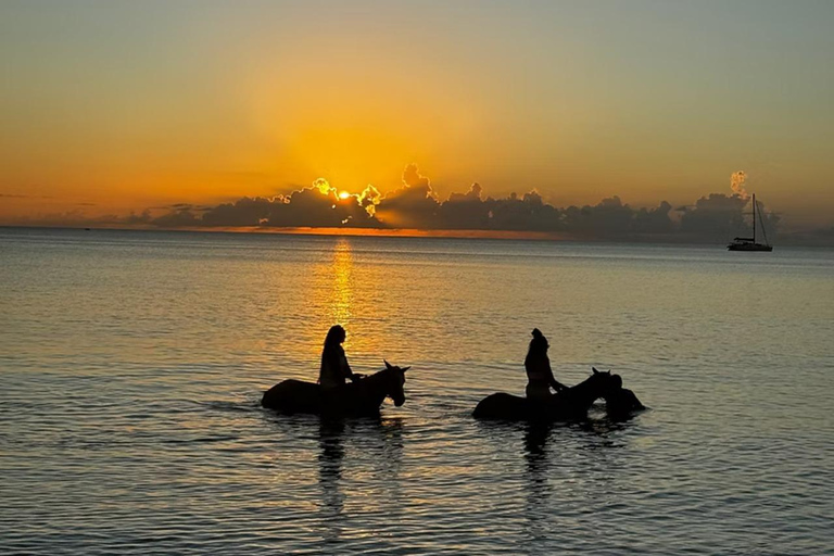 St. Lucia: Private Romance & Rose Horseback Experience