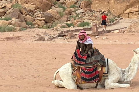 Wadi Rum: Jeep Tour &amp; Przejażdżka na wielbłądzie