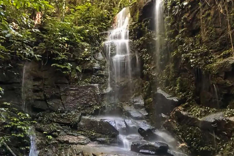 Rio de Janeiro: Zwiedzanie z przewodnikiem do Parku Narodowego Tijuca