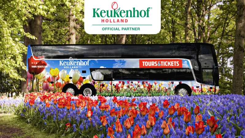 Von Amsterdam aus: Keukenhof Blumenpark Transfer mit Ticket