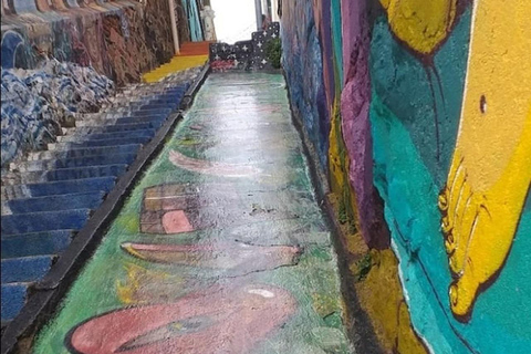 Découvrez les arts de la rue à Valparaíso et à Viña del Mar