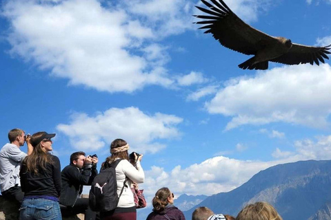 Excursión al Cañón del Colca con final en Puno