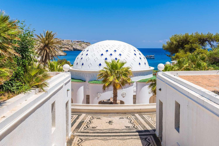 Rhodes Guided Island Tour: Kallithea, Kamiros & Highlights