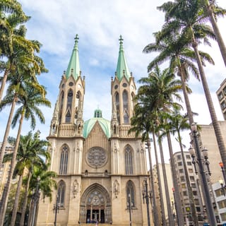 São Paulo: City Highlights Private Guided Tour with Transfer