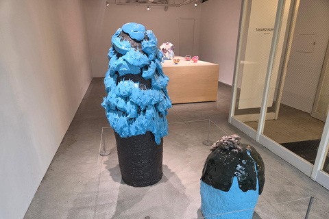 Kanazawa: Contemporary Art Walk with Museum Options KAMU Art Spaces Walk Private tour