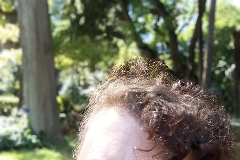 The Sculptures of the Botanical Garden