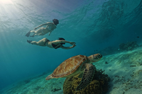 Gili Trawangan: GoPro Hero 12 Rental Gili T GoPro Hero 12 rental