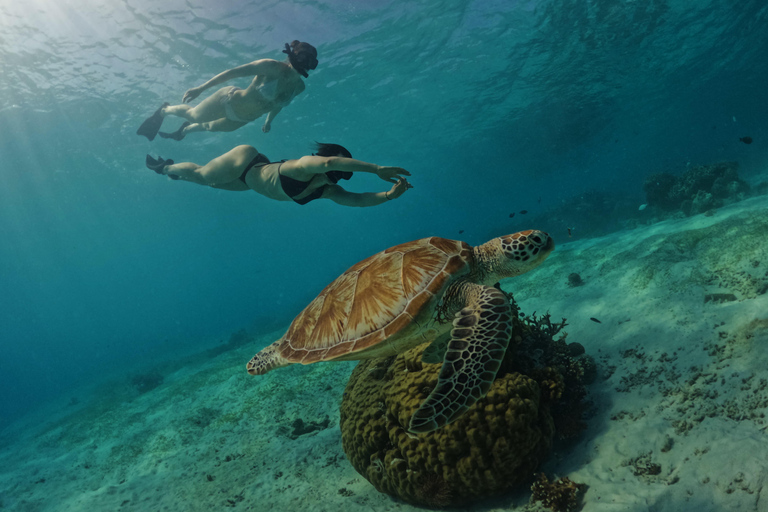 Gili Trawangan: GoPro Hero 12 Rental Gili T GoPro Hero 12 rental