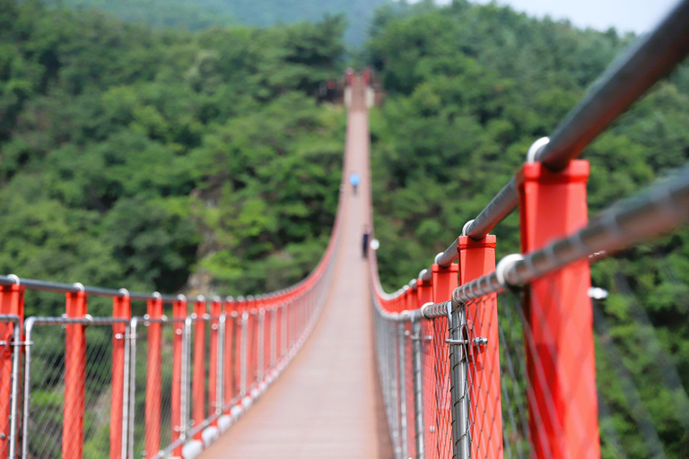 Da Seul: Tour della zona demilitarizzata della Corea del Sud (giapponese)Dal Parco Storico e Culturale di Dongdaemun: Tour della DMZ