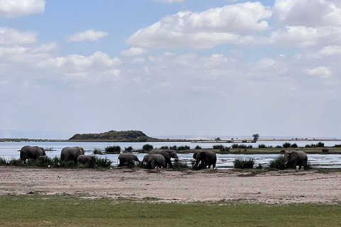 Nairobi: 4 Days epic trip to Amboseli, Tsavo West & East
