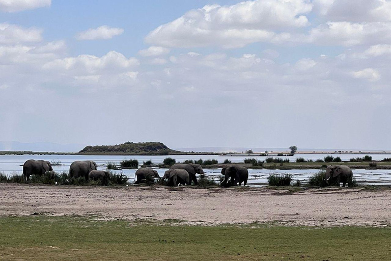 Nairobi: 4 Days epic trip to Amboseli, Tsavo West & East