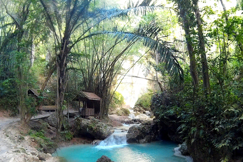 Cebu: 4 Days and 3 Nights Cebu Tour Package