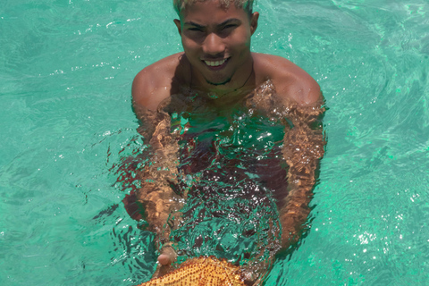 From Punta Cana: Saona Island Tour by Catamaran with Open Bar and Buffet Option with transportation from Punta Cana