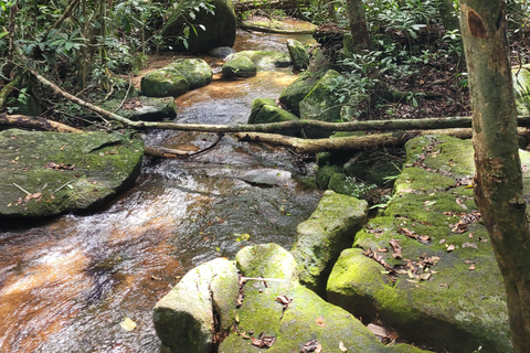 JUATINGA : Circuit de 4 jours FORÊT ATLANTIQUE et PLAGES - PARATY - RIO DE JANEIRO