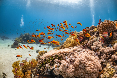 Bali: Blue Lagoon Snorkeling & Hidden Beach Escape Private – With Hotel Transfer