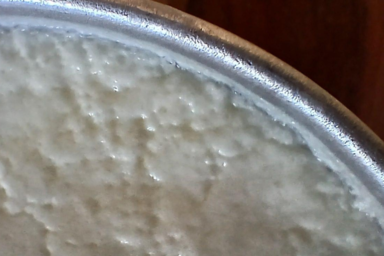 Sofia : dégustation de yaourt bulgare dans des ruines antiques – Édition exclusiveSofia : Dégustation de yaourt bulgare dans des ruines antiques – Exclusif