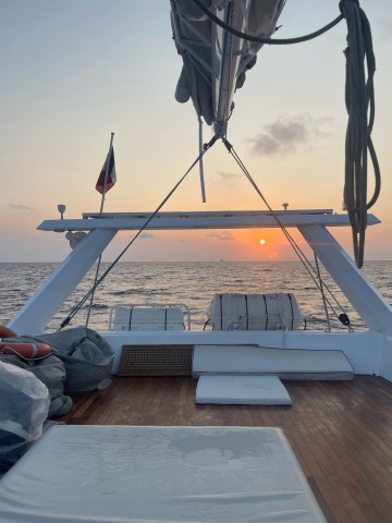 Visit Escapade en soirée et cocktail dinatoire en maxi-catamaran in Belle-Île-en-Mer