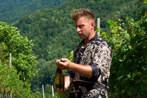 vineyard experience experience in the vineyard