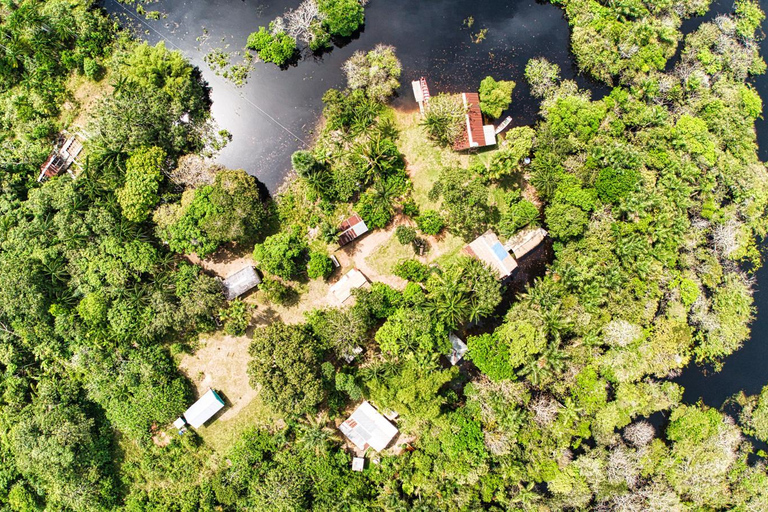 From Manaus: 4-Day Amazon Rainforest Expedition with Meals