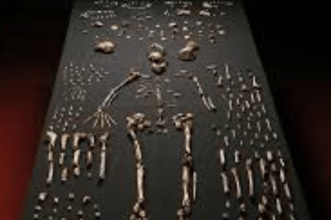 Reis naar de wieg van de mensheid