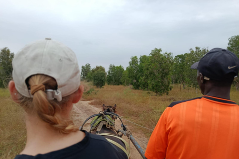 Saloum Delta: 3 days of adventure in the middle of nature, camping on a desert island Saloum Delta: Camping and Adventure