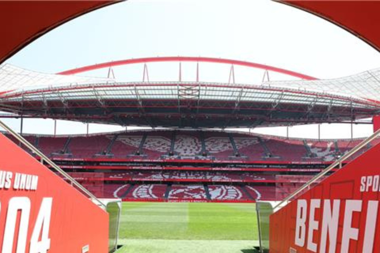 Lisbon: Slide in Sport Lisboa e Benfica Stadium Slide & Stadium Tour with Scarf