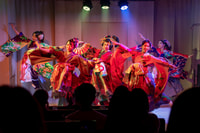 Tokyo, Japans dance cabaret theater Asakusa-kaguwa ticket - Housity
