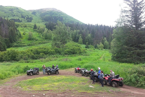 Bird Creek: Chugach State Park ATV Nature Tour & Hike Afternoon Adventure - Single ATV