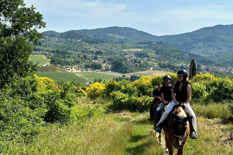 Florence: Horse ride 3h and Wine Tasting&Lunch at a castle