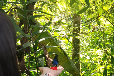 Quito: Waterfall, Hummingbirds, Butterfly Tour, Equator line