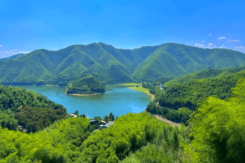 Shanghai: Crouching Tiger Bamboo Forest & White Tea Trip