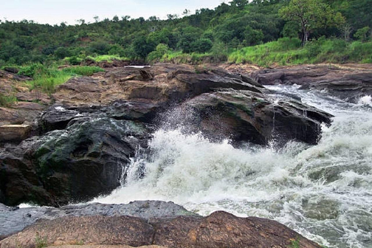 Kampala: Jinja and Source of the Nile Tour with Cruise