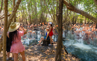 Full-Day Tour- Aviario Nacional y Playa Blanca+ Plancton - Housity