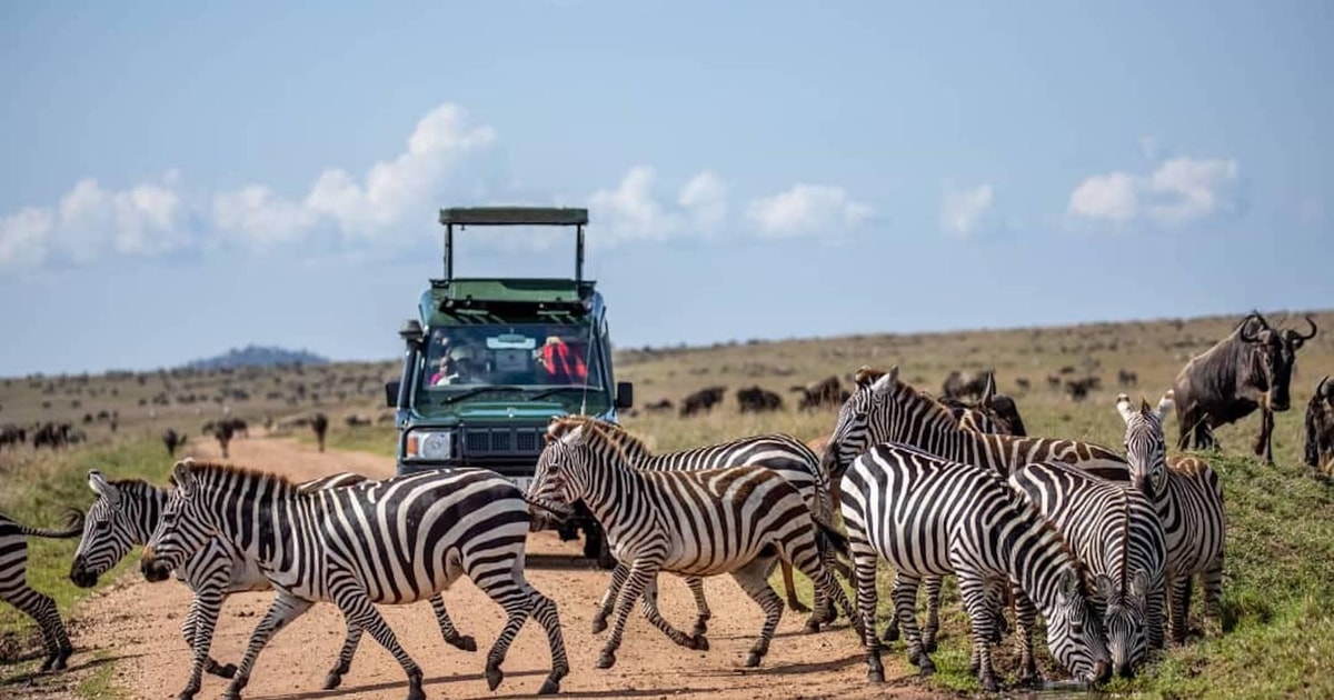 Safari de medio día por el Parque Nacional de Nairobi GetYourGuide