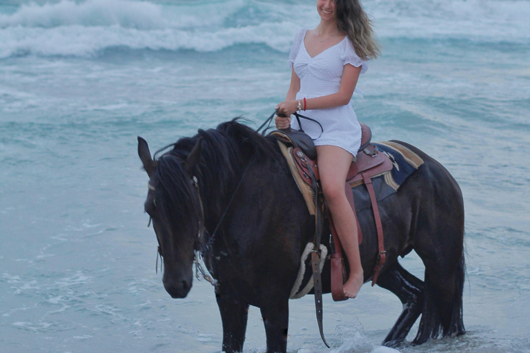 Fort Bragg: Coastal Horseback Ride on Ten Mile Beach