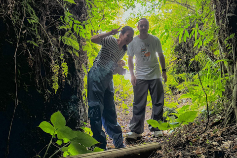 Jeju Island: 1 Day Private Tour