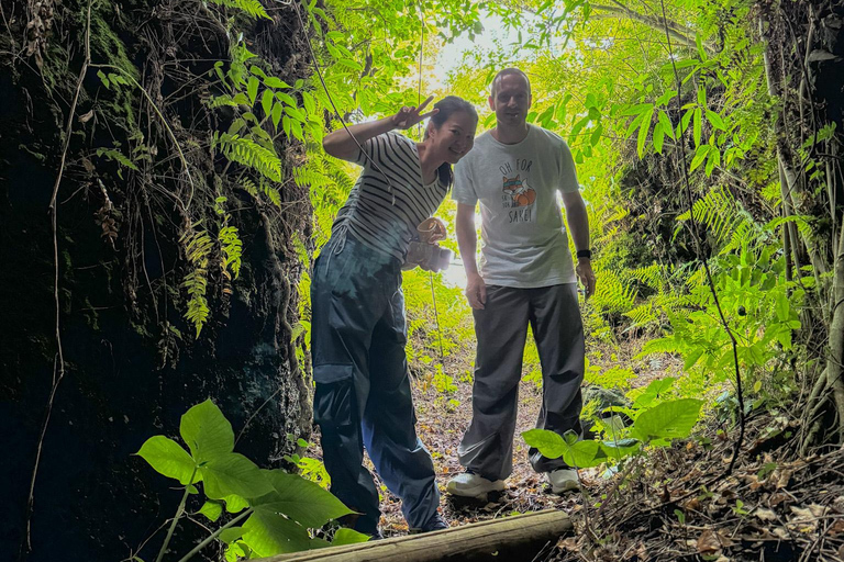 Jeju Island: 1 Day Private Tour