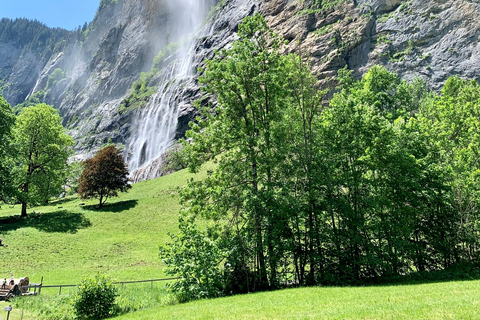 Da Berna: Tour privato alla scoperta delle regioni della Jungfrau