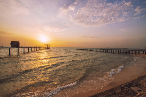 From Jeddah: King Abdullah Economic City Day Trip