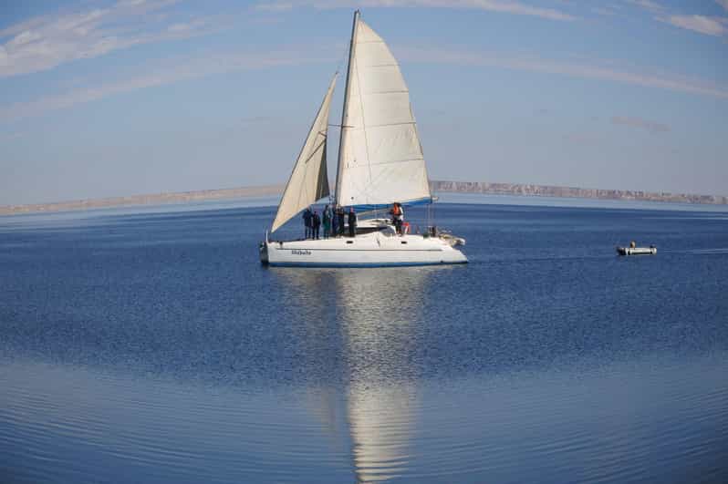 Dakhla : aventure en catamaran avec visite de l'île - excursion